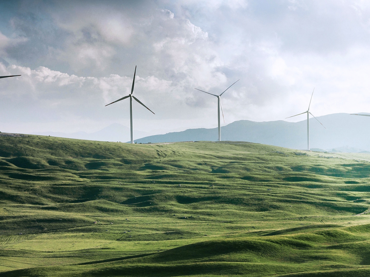 molinos de viento