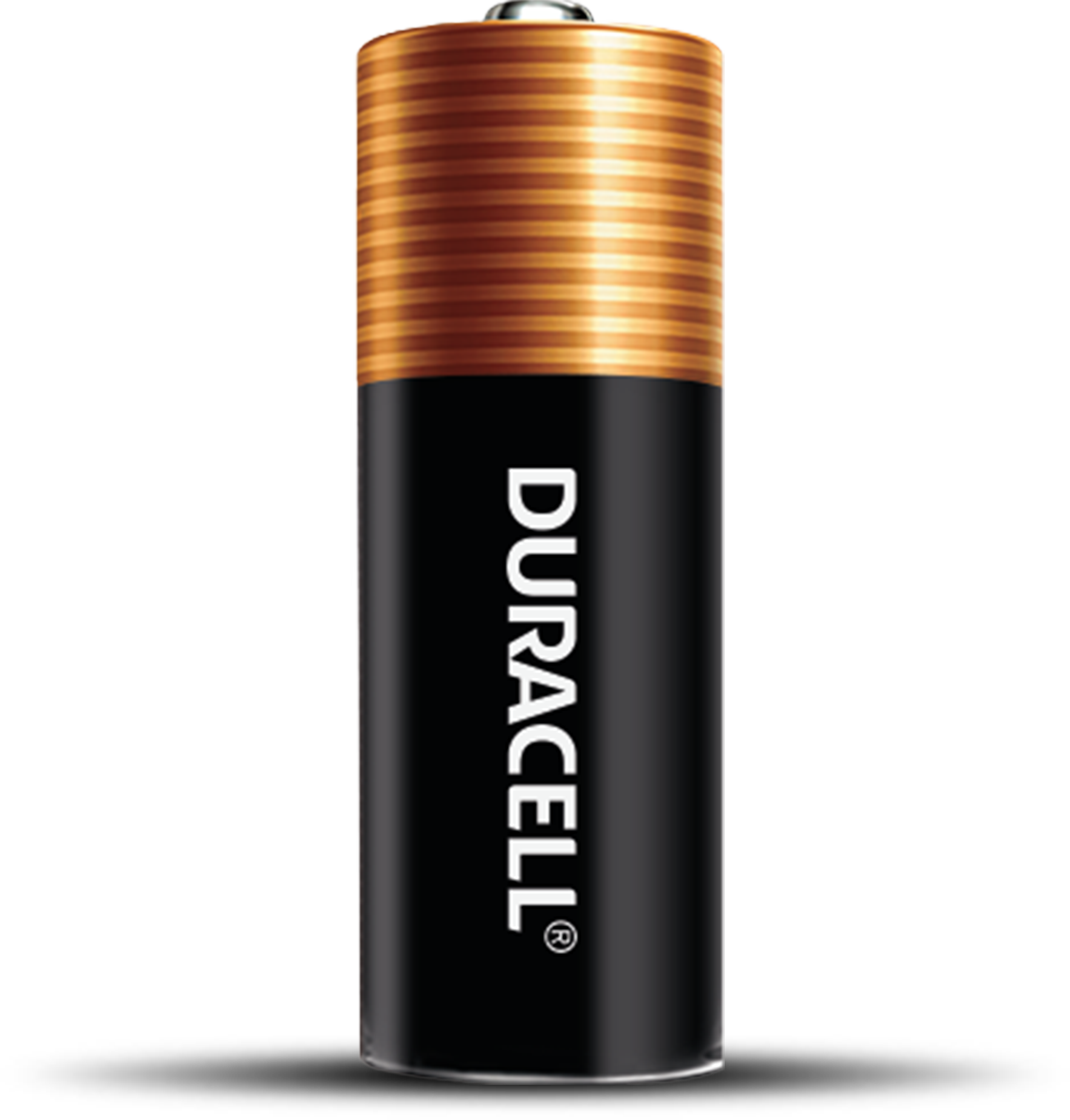 Pilas Duracell MX2500B2PK, tamaño AAAA (2 pilas), MX2500B2PK, 1, 1